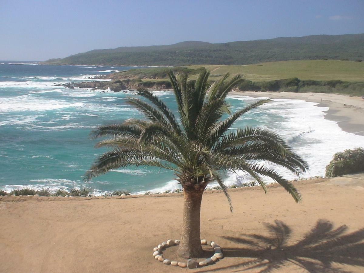 مبيت وإفطار Alata Perula Di Machja المظهر الخارجي الصورة